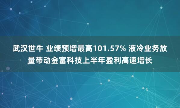 武汉世牛 业绩预增最高101.57% 液冷业务放量带动金富科技上半年盈利高速增长