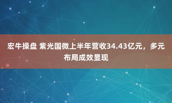 宏牛操盘 紫光国微上半年营收34.43亿元，多元布局成效显现